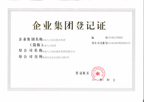 企業(yè)集團登記證2017.jpg